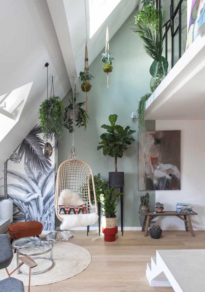 Plantas para sala: tipos, benefícios, dicas e fotos de decoração