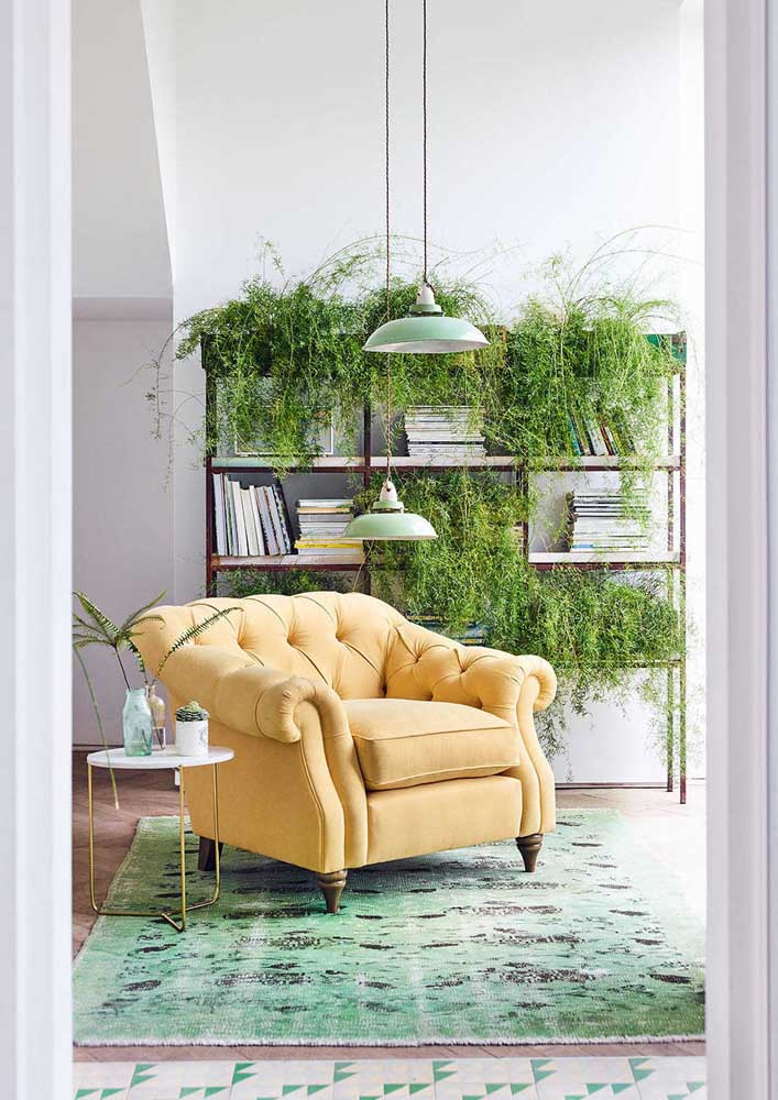 Plantas para sala: tipos, benefícios, dicas e fotos de decoração
