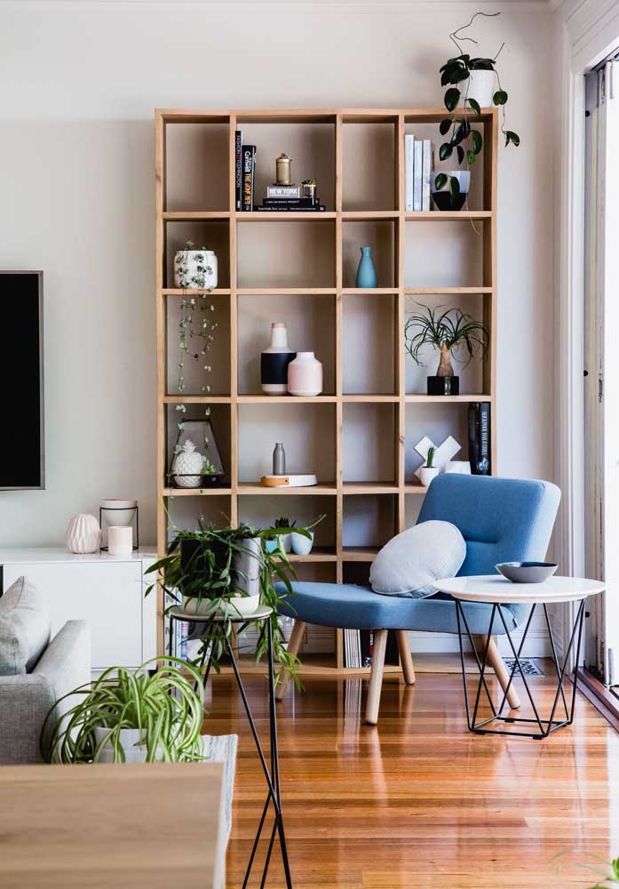 Plantas para sala: tipos, benefícios, dicas e fotos de decoração