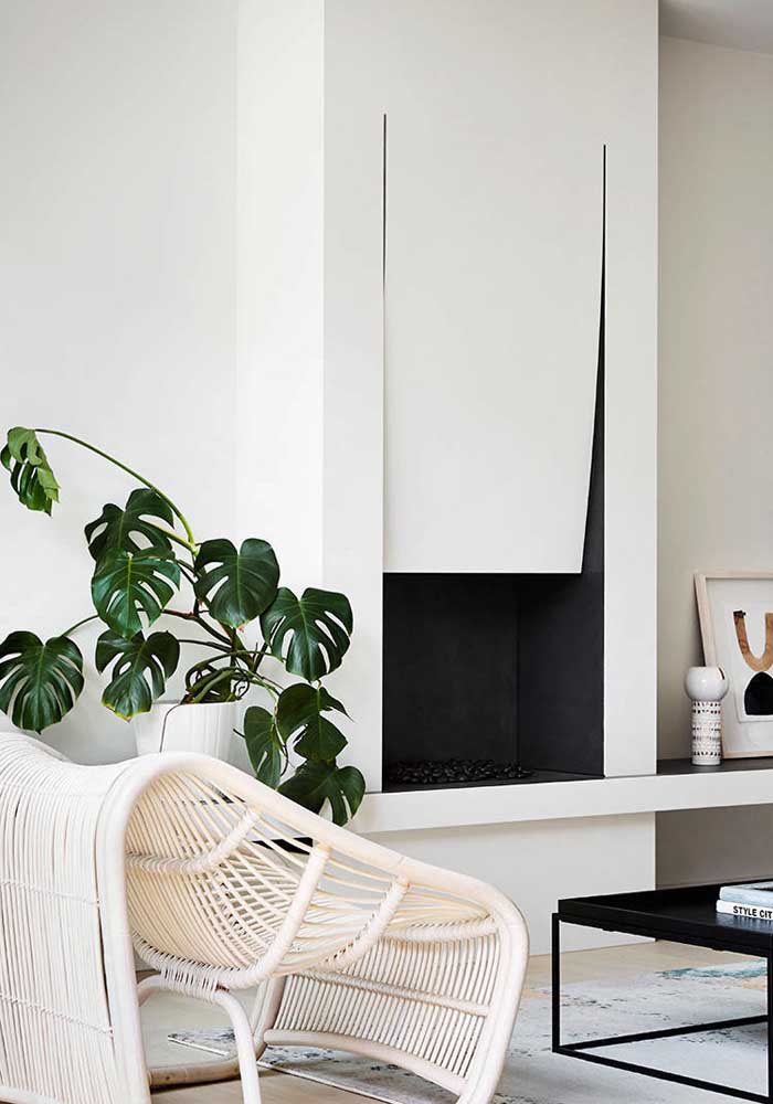 Plantas para sala: tipos, benefícios, dicas e fotos de decoração