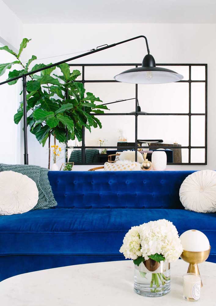 Plantas para sala: tipos, benefícios, dicas e fotos de decoração