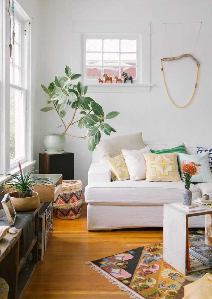 Plantas para sala: tipos, benefícios, dicas e fotos de decoração