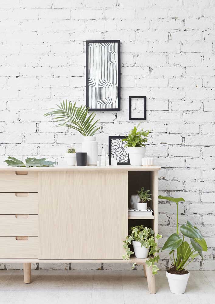 Plantas para sala: tipos, benefícios, dicas e fotos de decoração