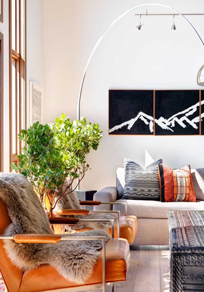 Plantas para sala: tipos, benefícios, dicas e fotos de decoração