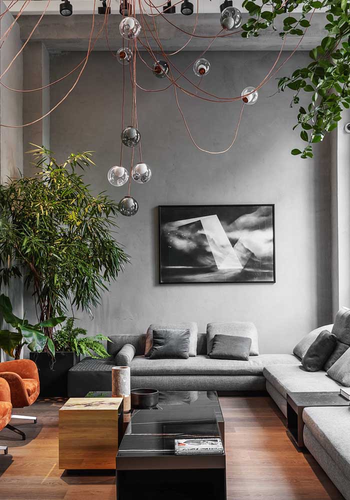 Plantas para sala: tipos, benefícios, dicas e fotos de decoração