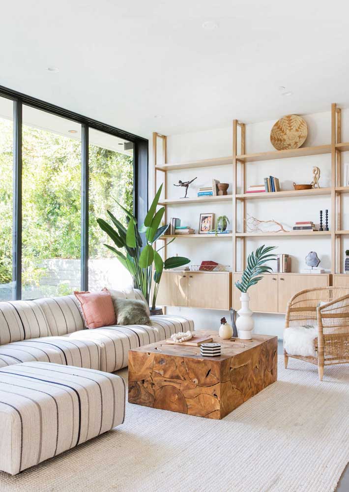 Plantas para sala: tipos, benefícios, dicas e fotos de decoração