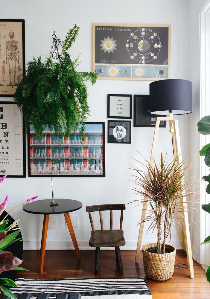 Plantas para sala: tipos, benefícios, dicas e fotos de decoração