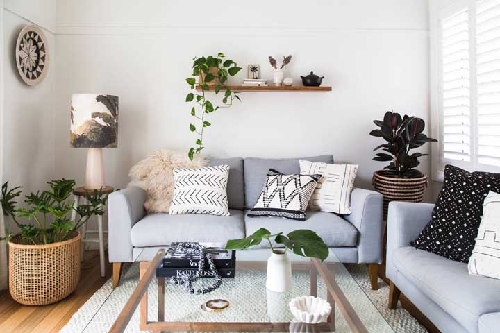 Plantas para sala: tipos, benefícios, dicas e fotos de decoração
