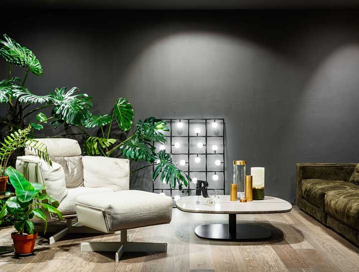 Plantas para sala: tipos, benefícios, dicas e fotos de decoração