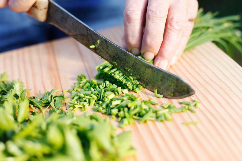 Como plantar cebolinha: tipos, passo a passo e dicas essenciais