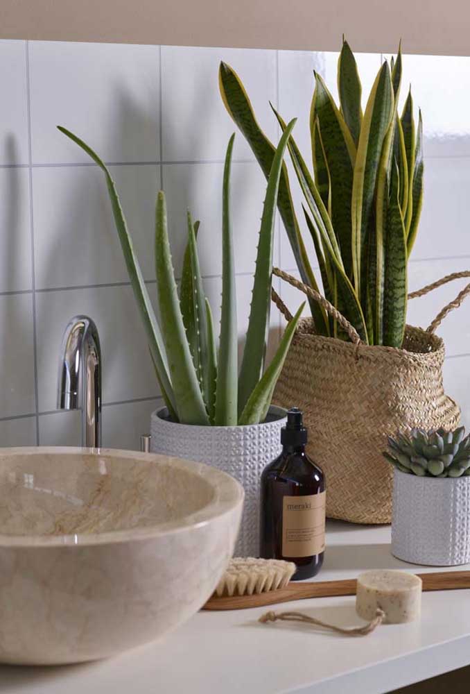 Plantas ornamentais: o que são, exemplos, espécies e fotos incríveis para você ver