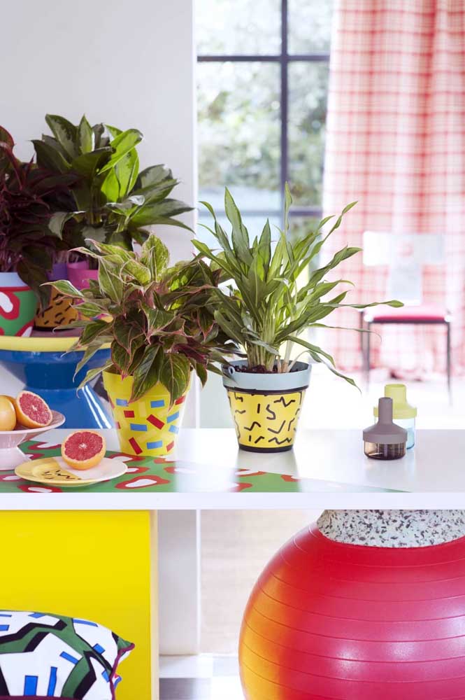 Plantas ornamentais: o que são, exemplos, espécies e fotos incríveis para você ver