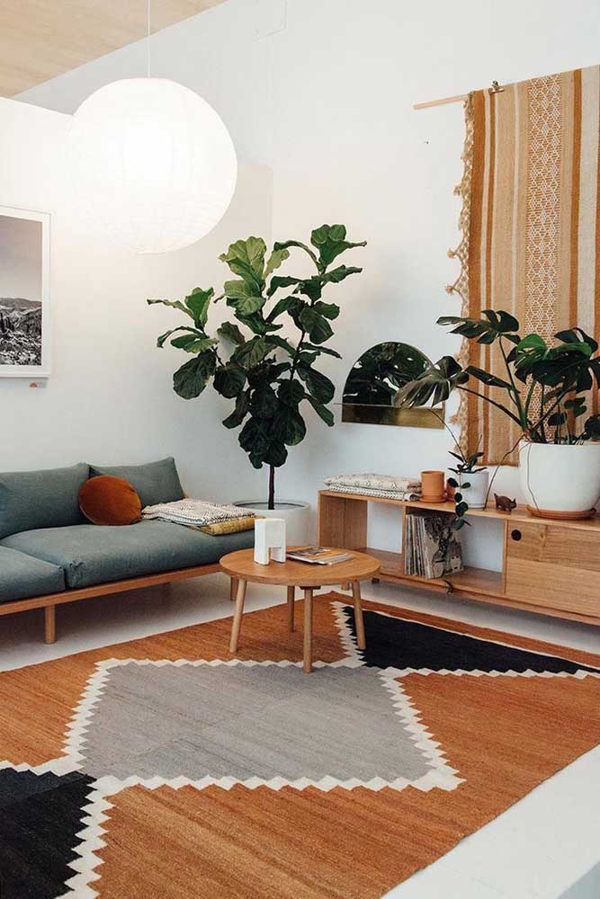 Plantas ornamentais: o que são, exemplos, espécies e fotos incríveis para você ver