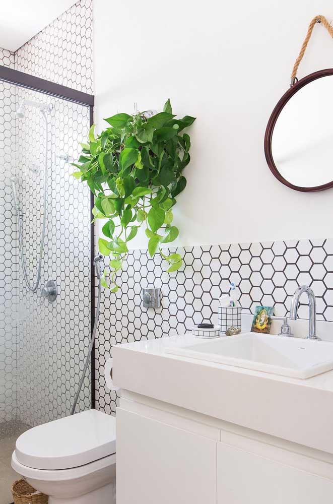 Plantas ornamentais: o que são, exemplos, espécies e fotos incríveis para você ver