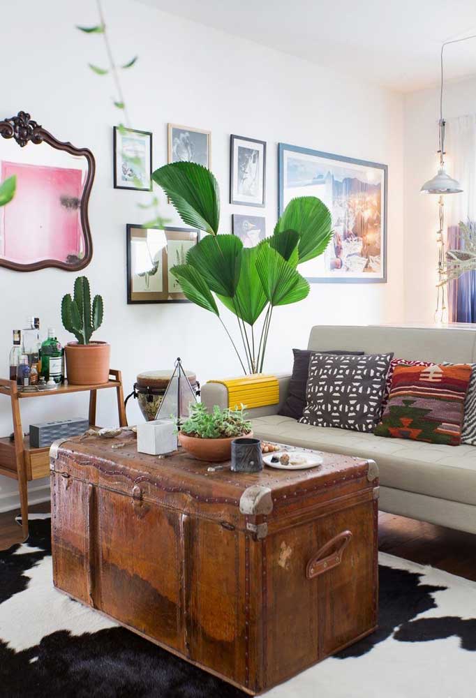 Plantas ornamentais: o que são, exemplos, espécies e fotos incríveis para você ver