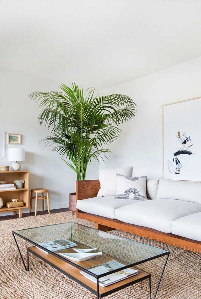 Plantas ornamentais: o que são, exemplos, espécies e fotos incríveis para você ver