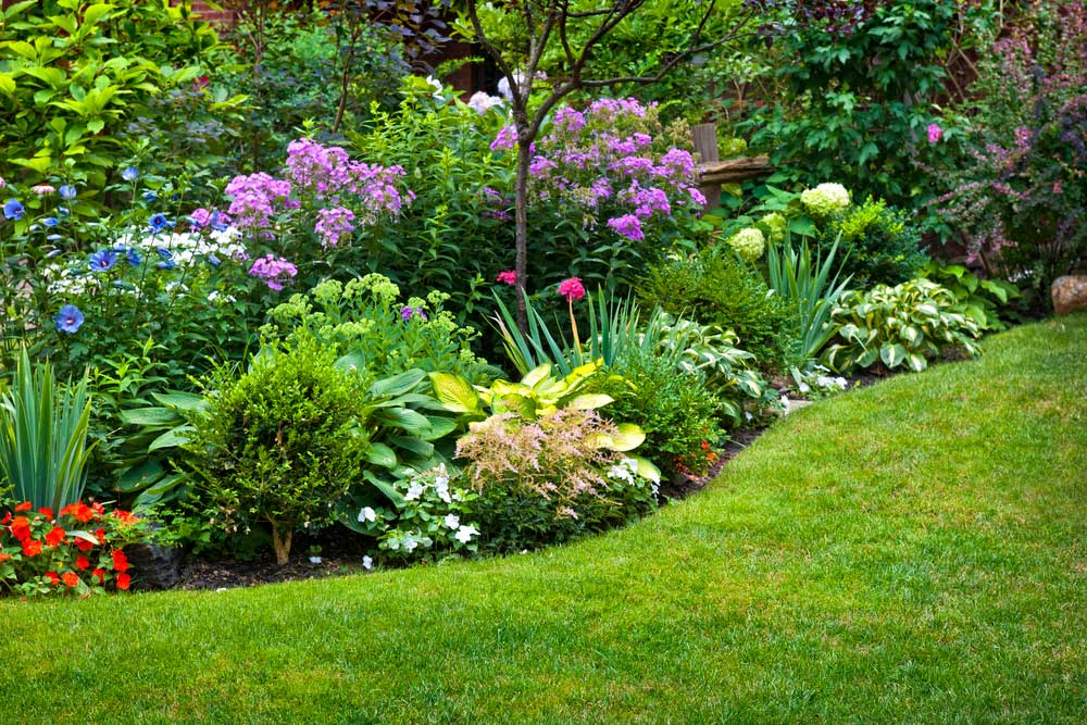 Paisagismo o que é, seus tipos e diferença entre a jardinagem Paisagismo o que é, seus tipos e diferença entre a jardinagem
