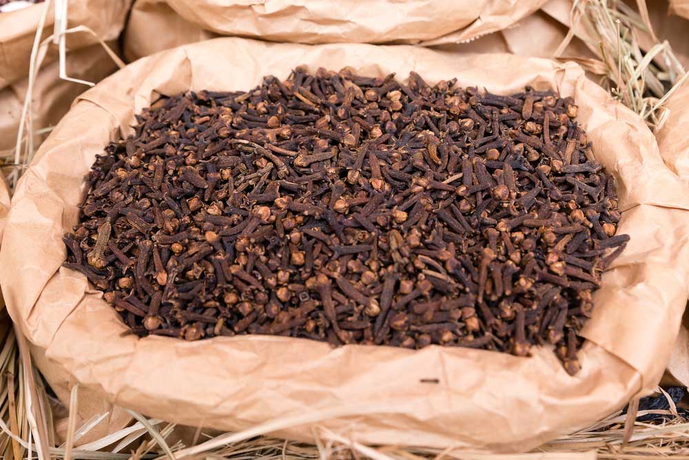 Repelente caseiro: soluções naturais para espantar os insetos e proteger sua família