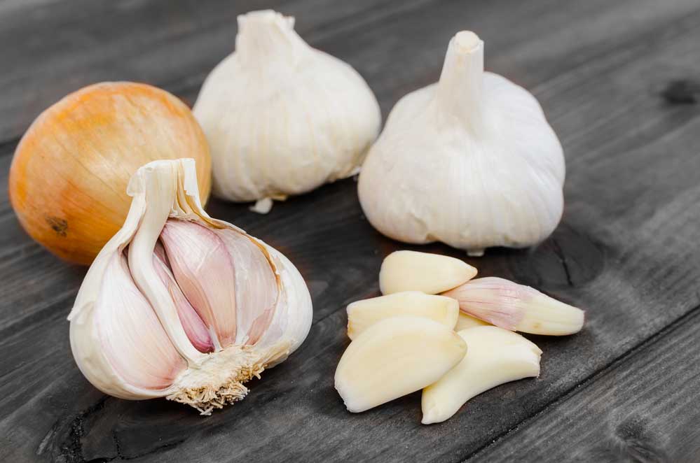 Como plantar alho: confira o passo a passo simples e prático