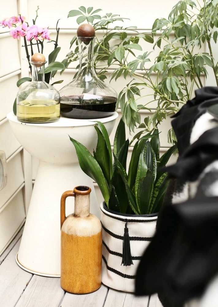 Queijos e vinhos: o que servir, dicas e fotos para você comemorar com estilo