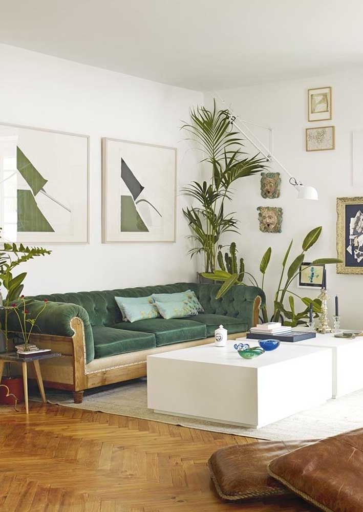 Sofá verde: descubra 40 ideias incríveis e dicas para escolher