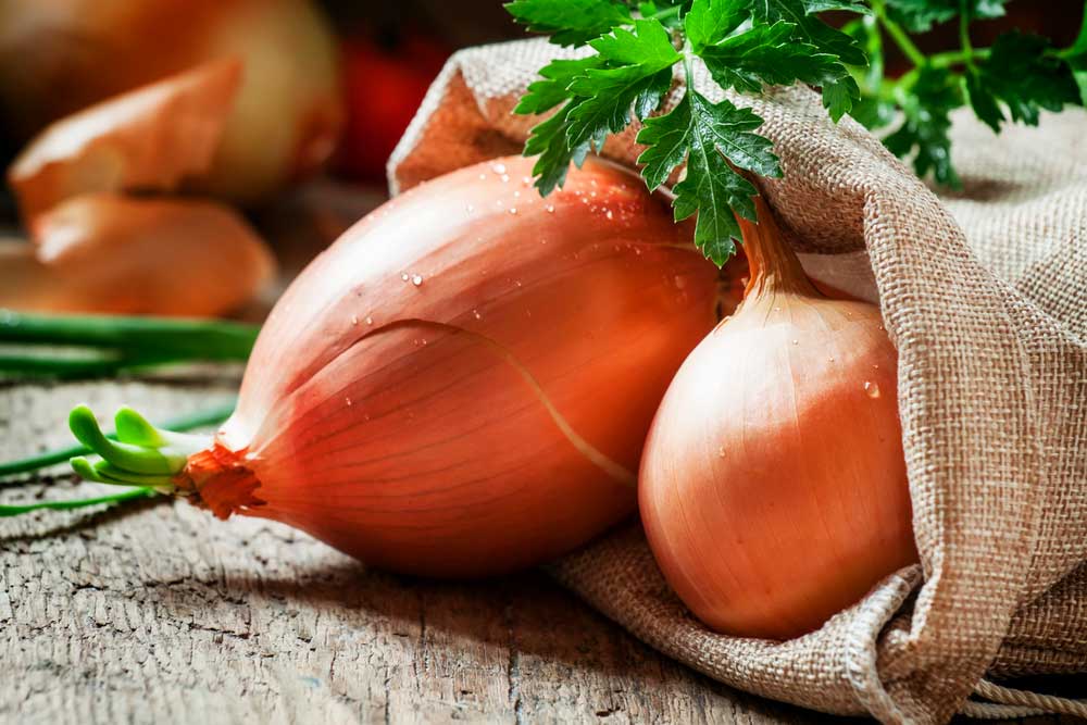 Como plantar cebola: confira 3 maneiras simples para você aprender