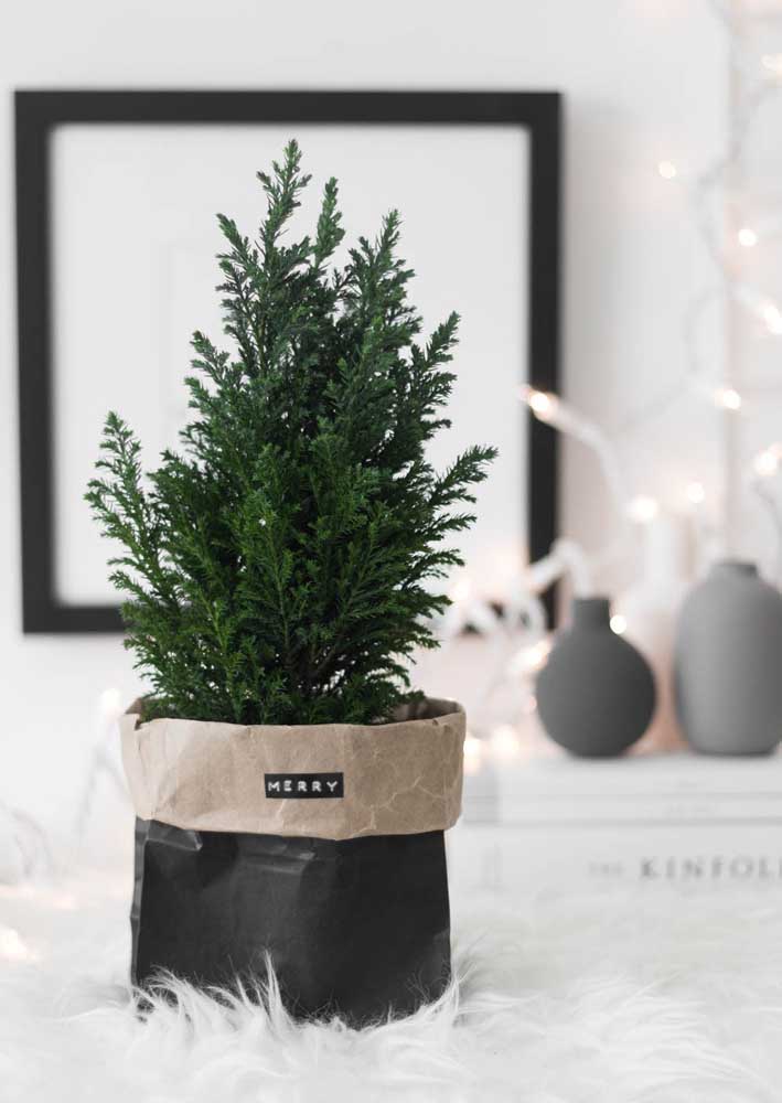 Lembrancinhas de Natal: principais tipos e 50 ideias incríveis com fotos