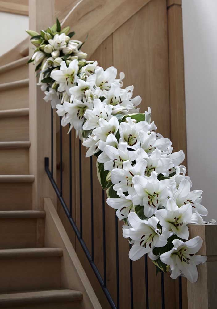 Flores do campo: tipos, espécies e dicas para decorar com elas