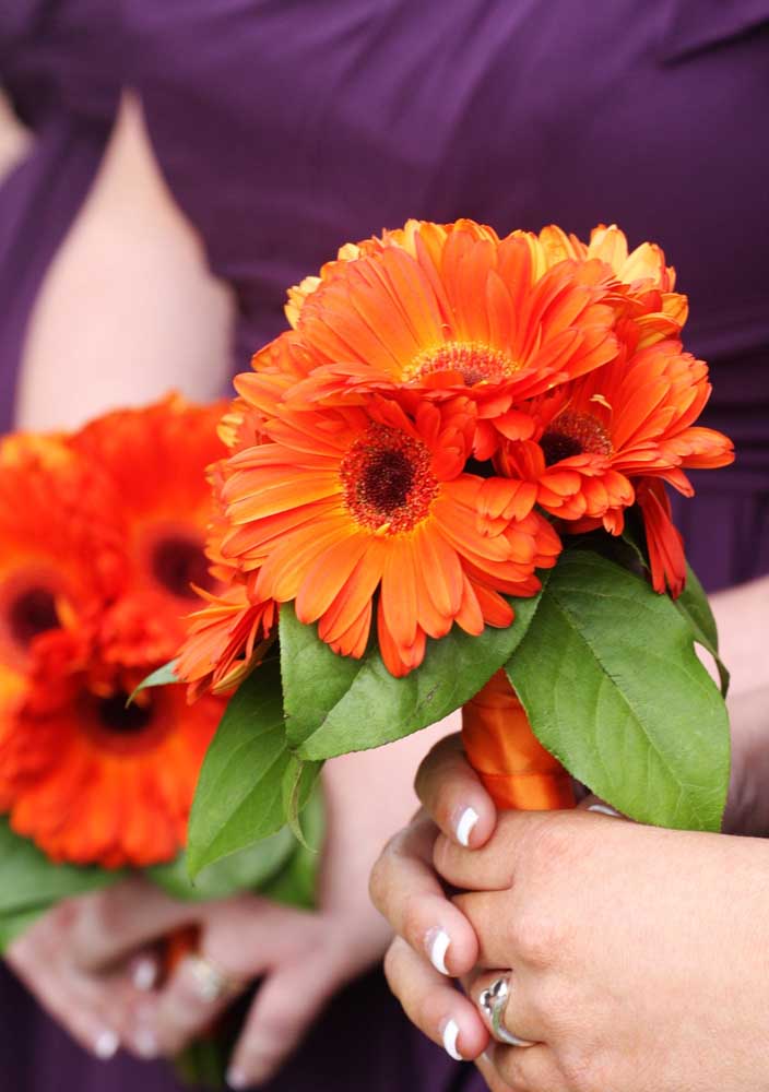 Flores do campo: tipos, espécies e dicas para decorar com elas