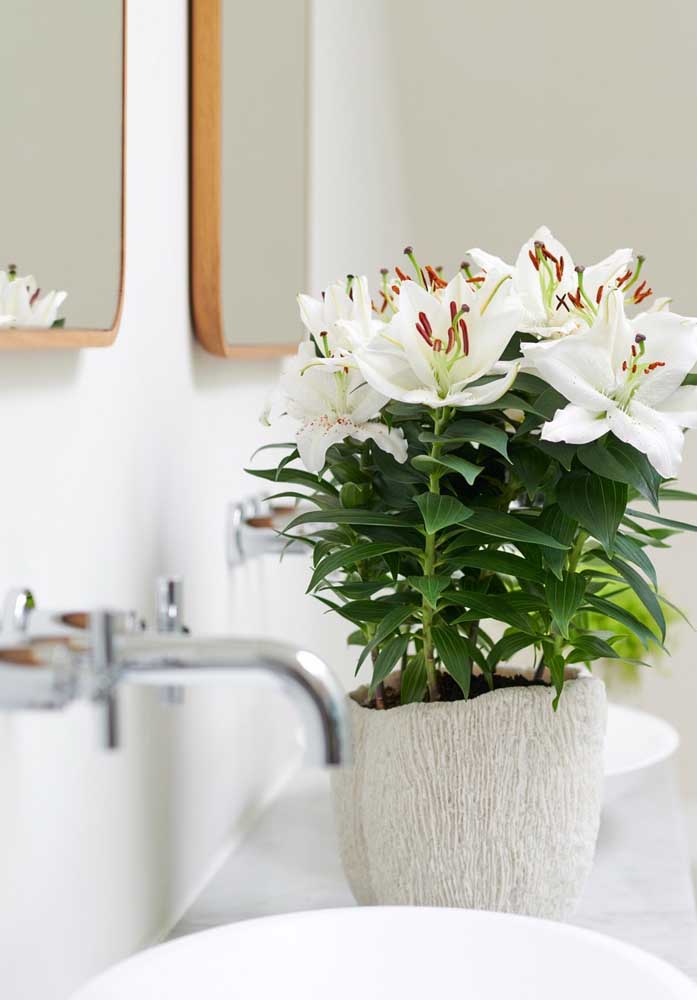 Se o banheiro estiver sem graça decore-o com um elegante vaso de flores do campo. Aqui, no caso, foram escolhidos os lírios