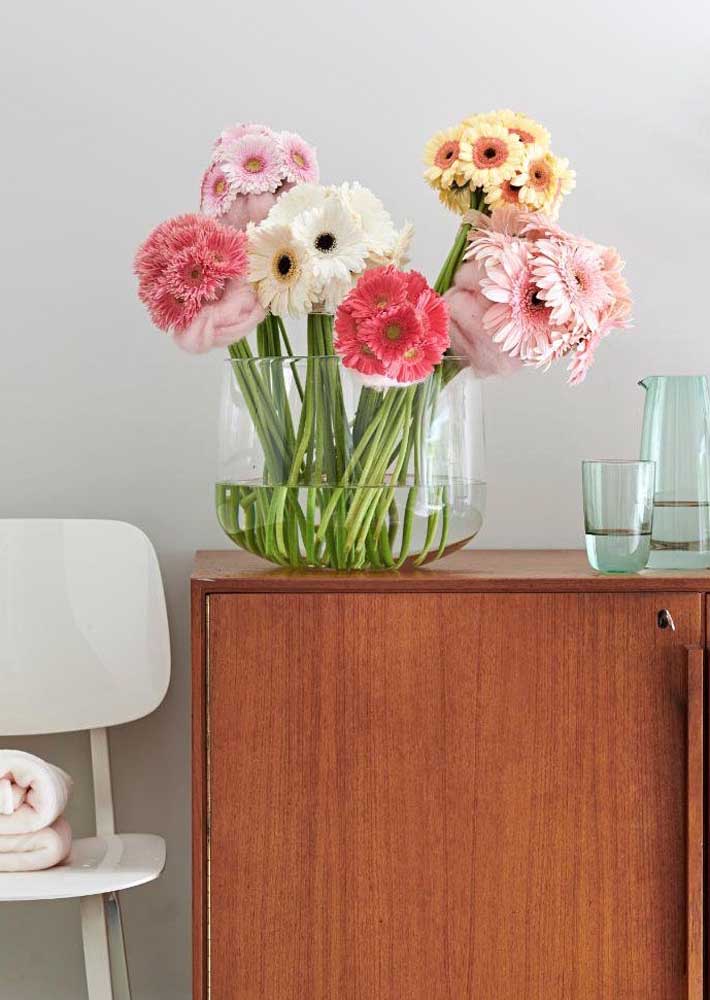 Flores do campo: tipos, espécies e dicas para decorar com elas