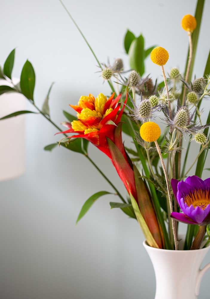 Flores do campo: tipos, espécies e dicas para decorar com elas