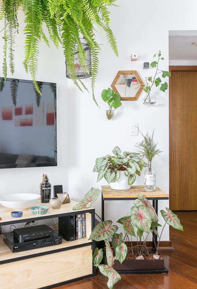 Valorize a decoração da sala pequena simples com plantas. Elas alegram e preenchem o ambiente
