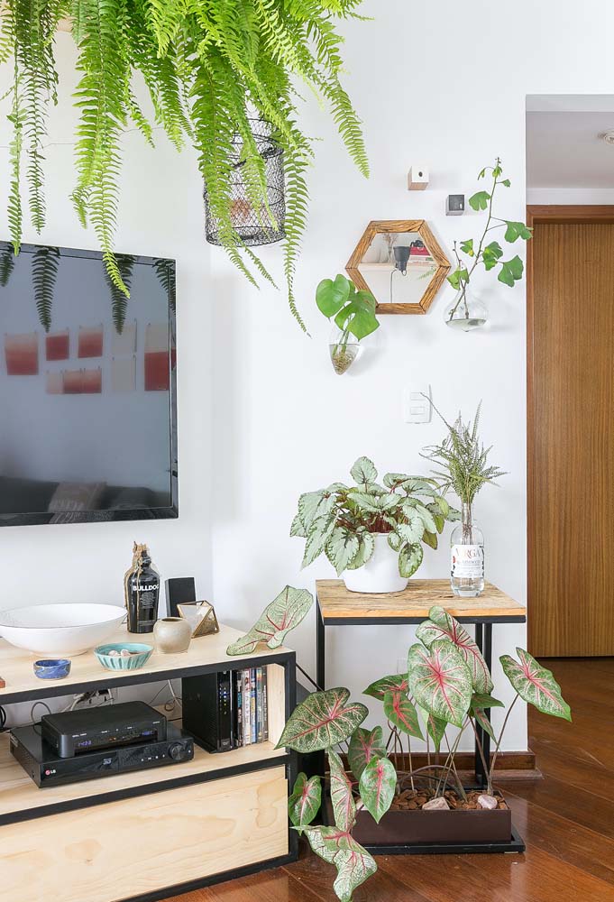 Decoração de sala simples: dicas para acertar no projeto e fotos inspiradoras