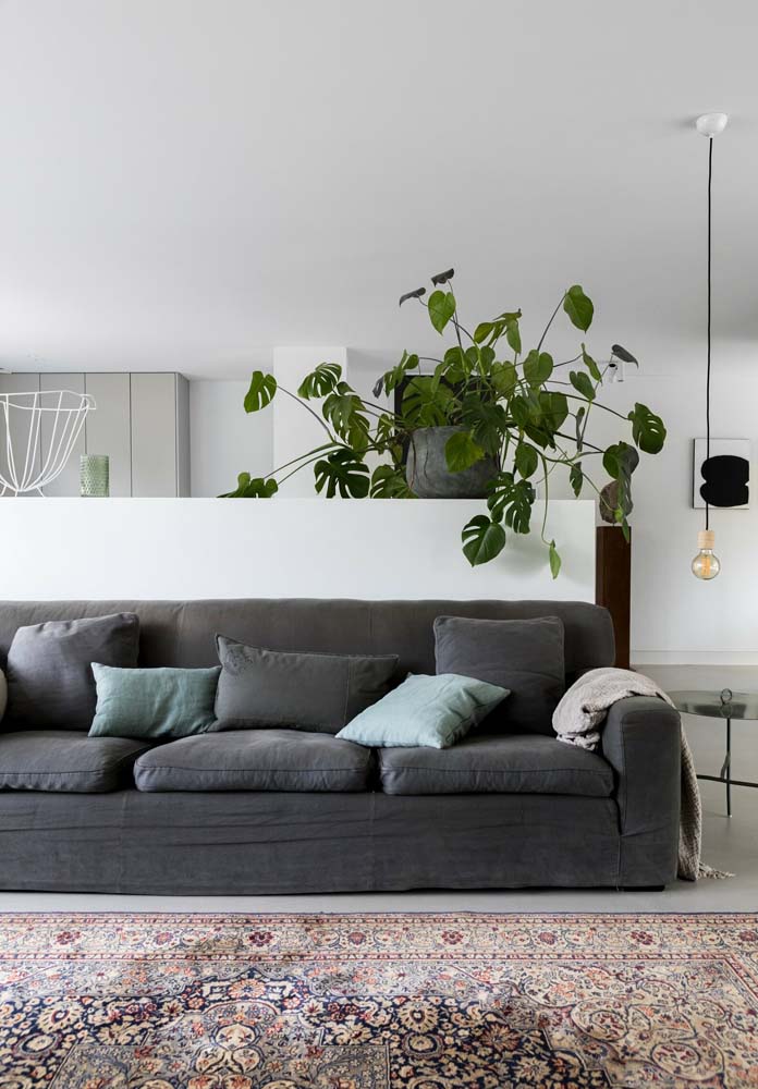 Cinza claro: onde usar, cores que combinam e fotos de decoração