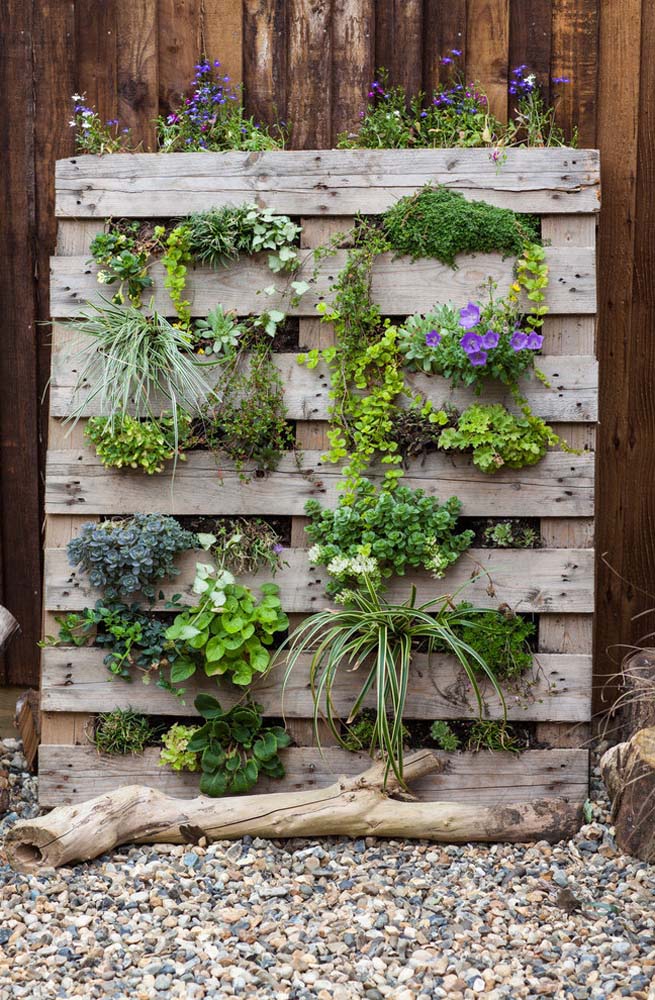 Jardim vertical com floreira de pallets num estilo rústico para plantar folhas e flores. 