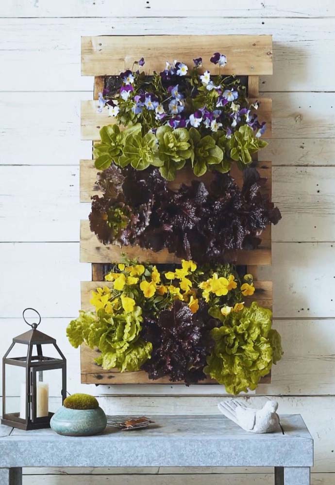 Cultivar alfaces e outras verduras dentro de casa fica muito mais fácil usando uma floreira de pallet.