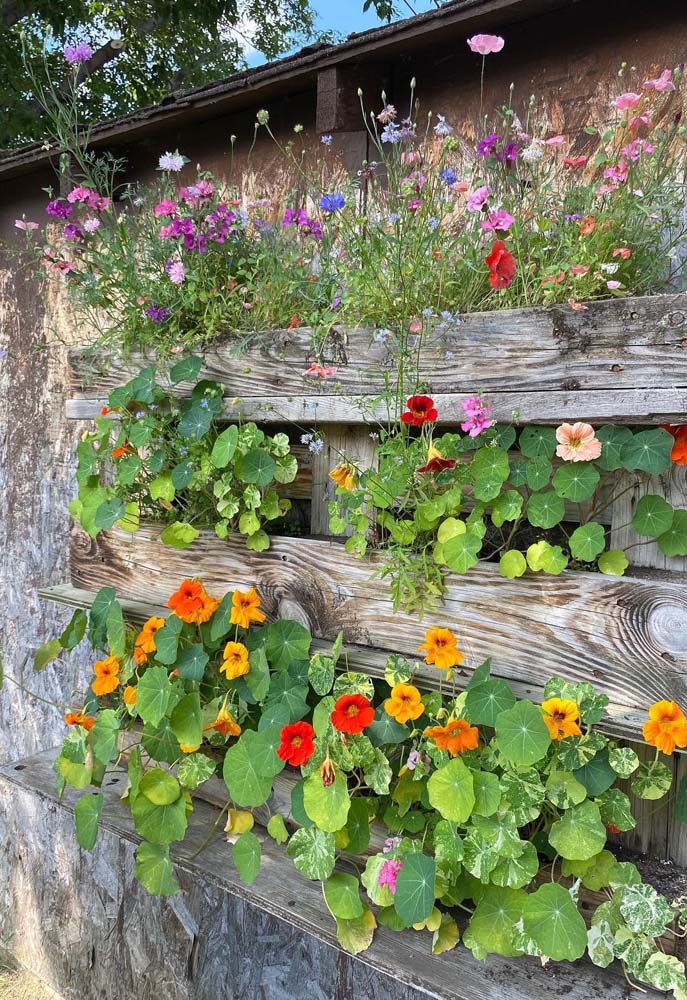 Dê uma nova cara para o muro ou parede exterior da sua casa com uma floreira de pallets.