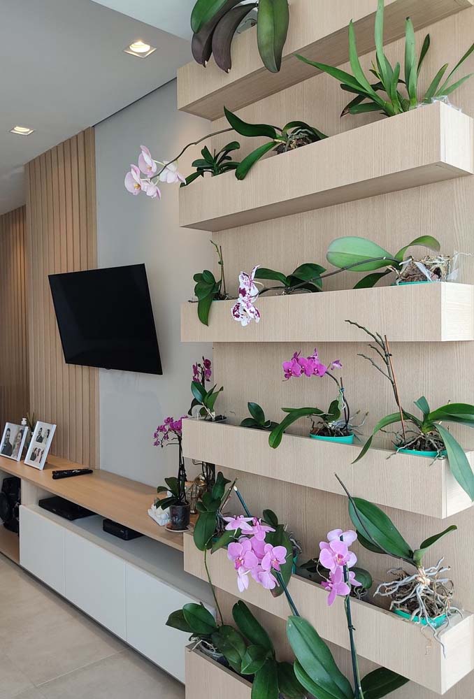 A sala de estar bem iluminada e arejada é o lugar certo para colocar uma floreira de pallet para orquídeas.